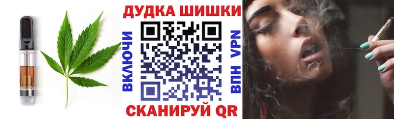 купить  цена  Сунжа  Cannafood конопля 