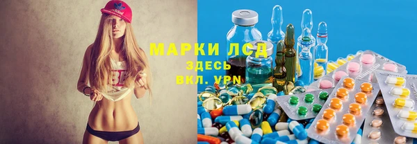 спайс Аркадак