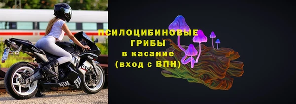 PSILOCYBIN Арсеньев