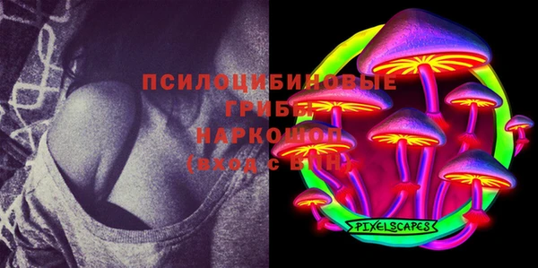 спайс Аркадак