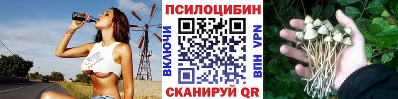 Галлюциногенные грибы Psilocybe  Сунжа 